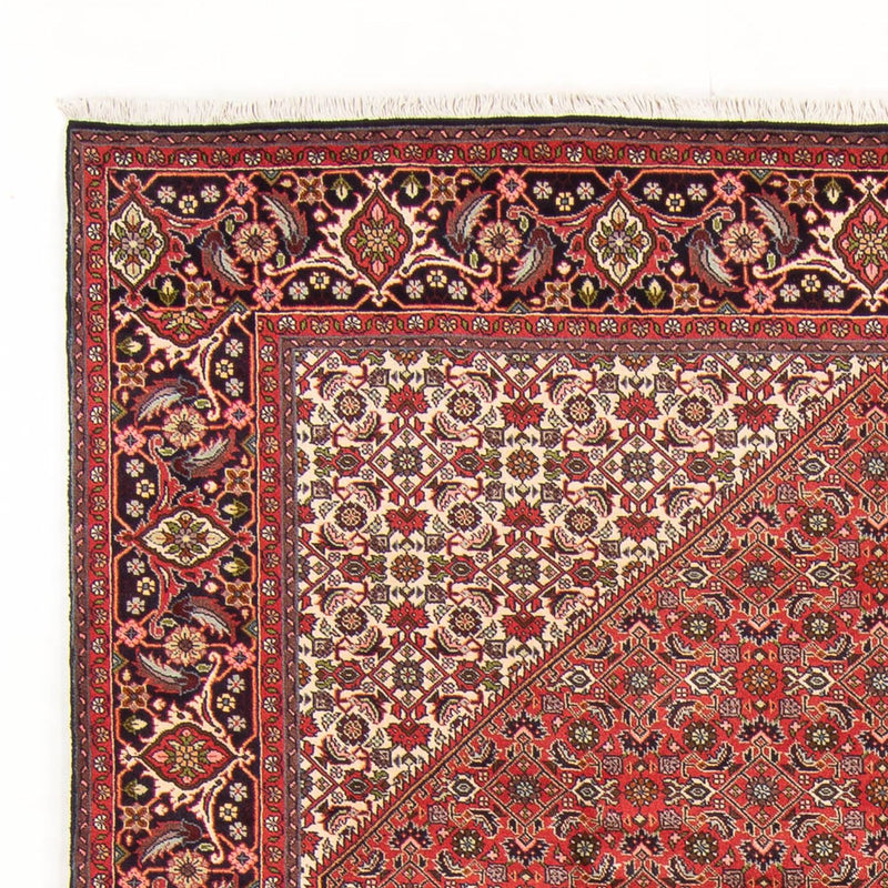 Bidjar - Bukan Tapete 298x197cm - Tapete persa