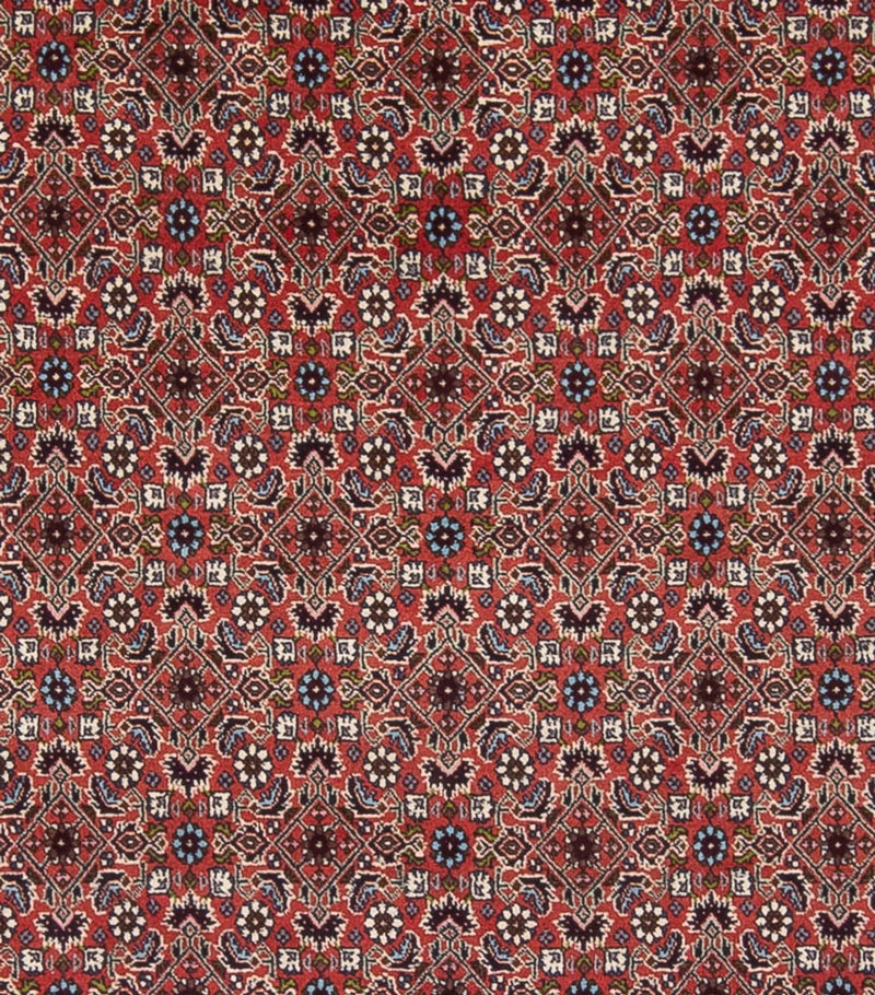 Bidjar - Bukan Tapete 296x248cm - Tapete persa
