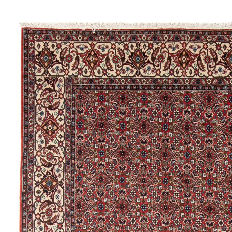 Bidjar - Bukan Tapete 296x248cm - Tapete persa