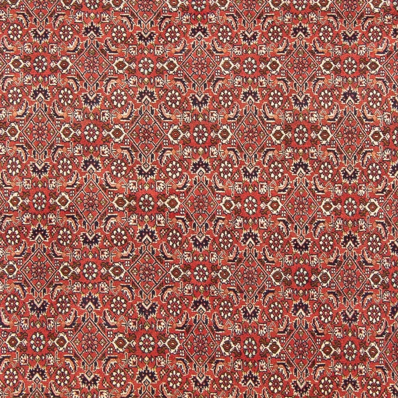 Tapete Persa - Bijar - Royal - 305 x 200 cm - vermelho