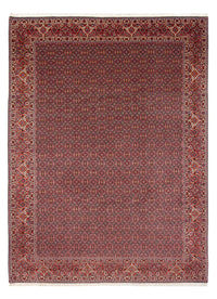 Bidjar - Bukan Tapete 260x337cm - Tapete persa – product image