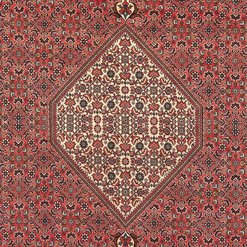 Bidjar - Bukan Tapete 395x300cm - Tapete persa