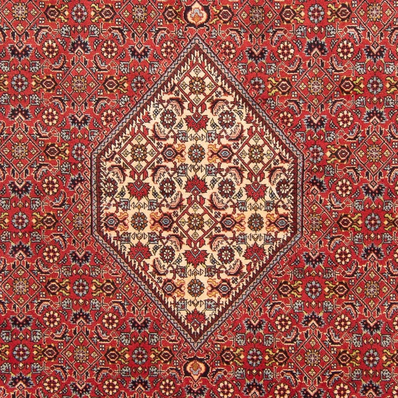 Tapete Persa - Bijar - Royal - 293 x 206 cm - vermelho