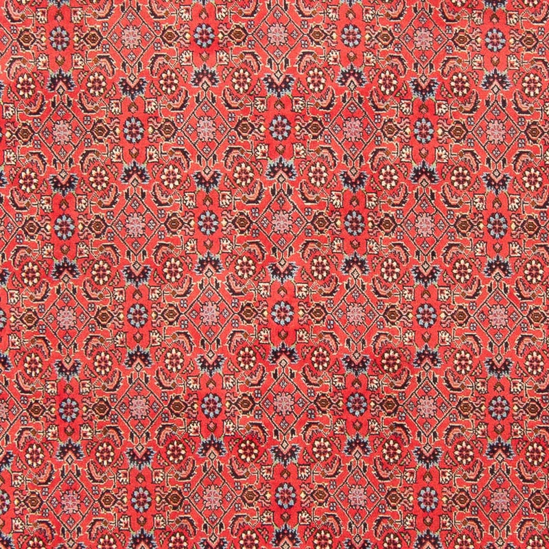 Bidjar - Bukan Tapete 294x200cm - Tapete persa