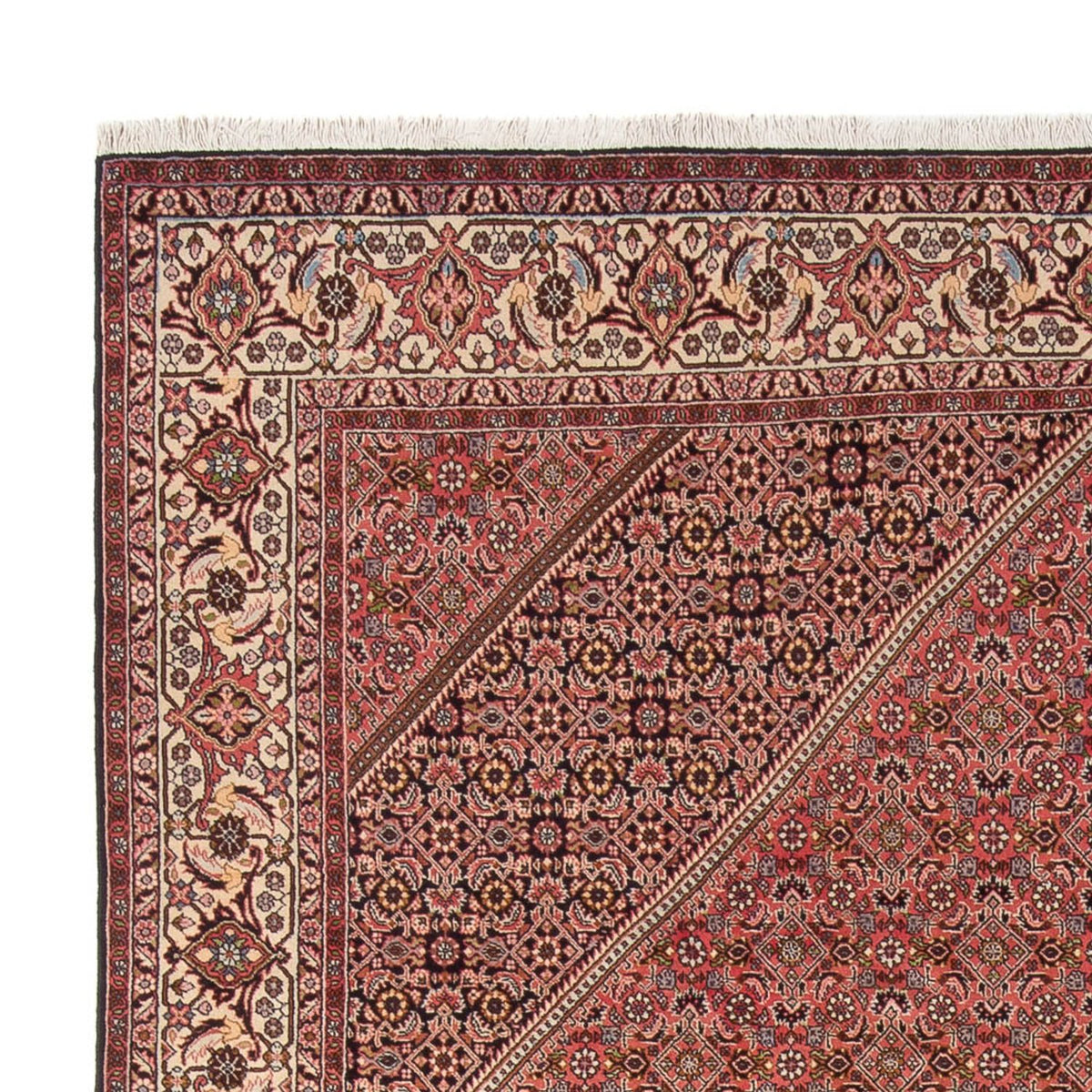 Bidjar - Bukan Tapete 250x342cm - Tapete persa