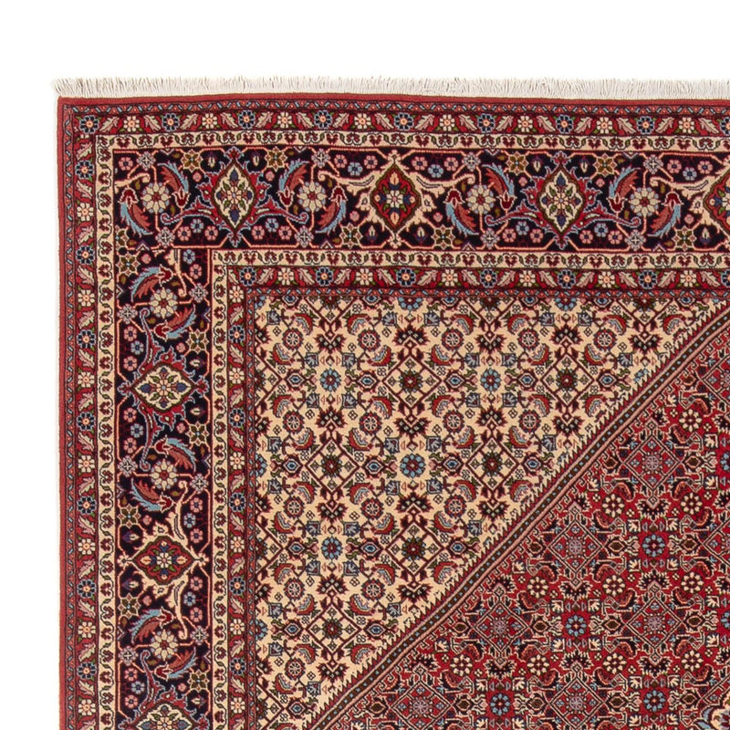 Bidjar - Bukan Tapete 246x341cm - Tapete persa