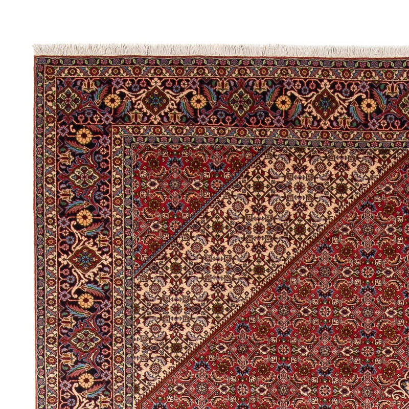 Bidjar - Bukan Tapete 249x339cm - Tapete persa