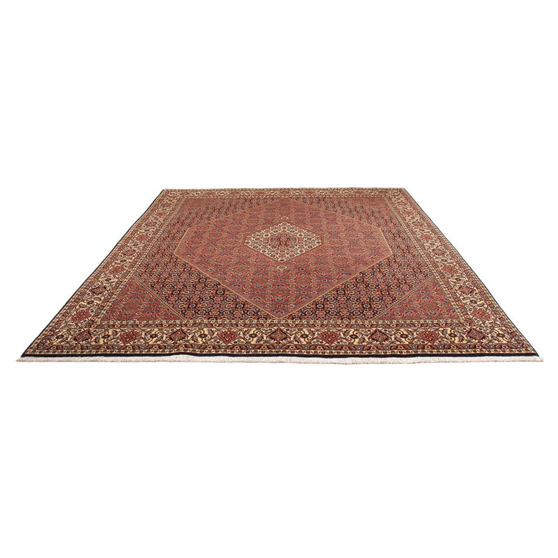 Bidjar - Bukan Tapete 299x244cm - Tapete persa