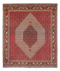 Bidjar - Takab Tapete 300x253cm - Tapete persa – product image