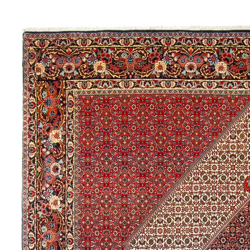 Bidjar - Takab Tapete 300x253cm - Tapete persa