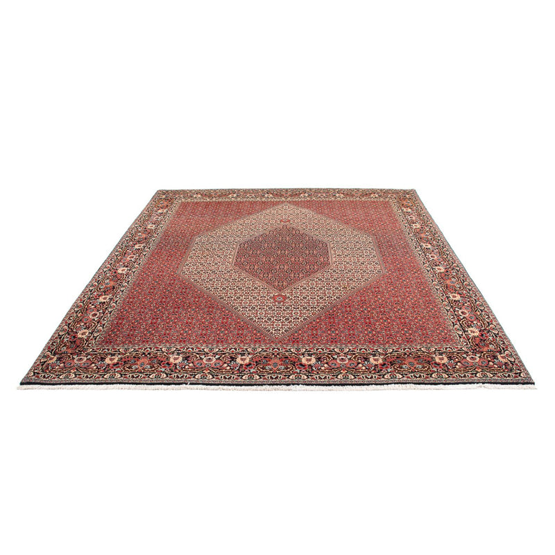 Bidjar - Takab Tapete 300x253cm - Tapete persa