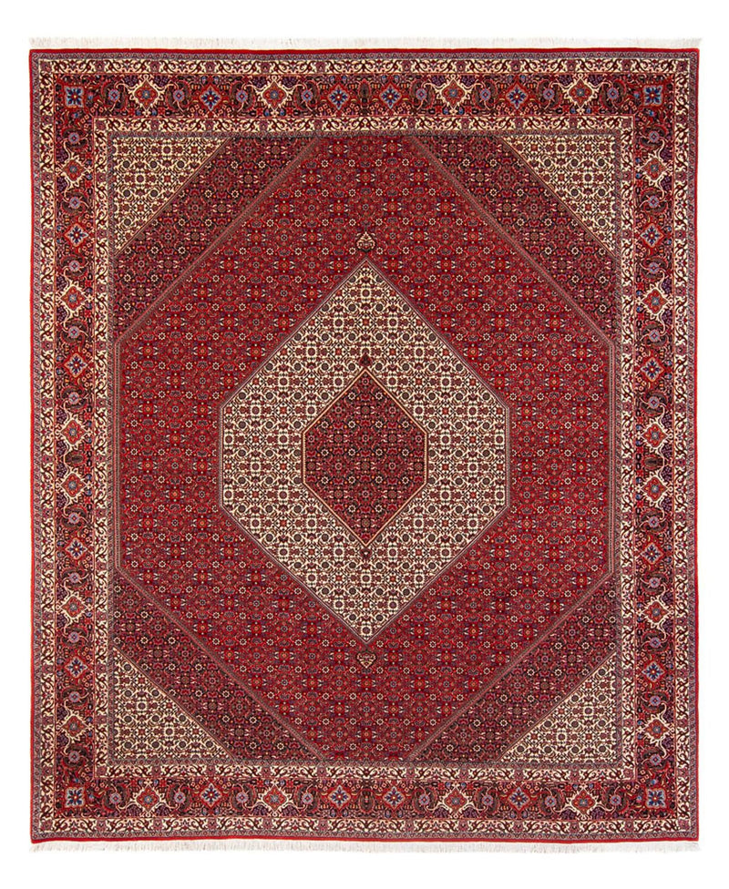 Tapete Persa - Bijar - Royal - 301 x 253 cm - creme