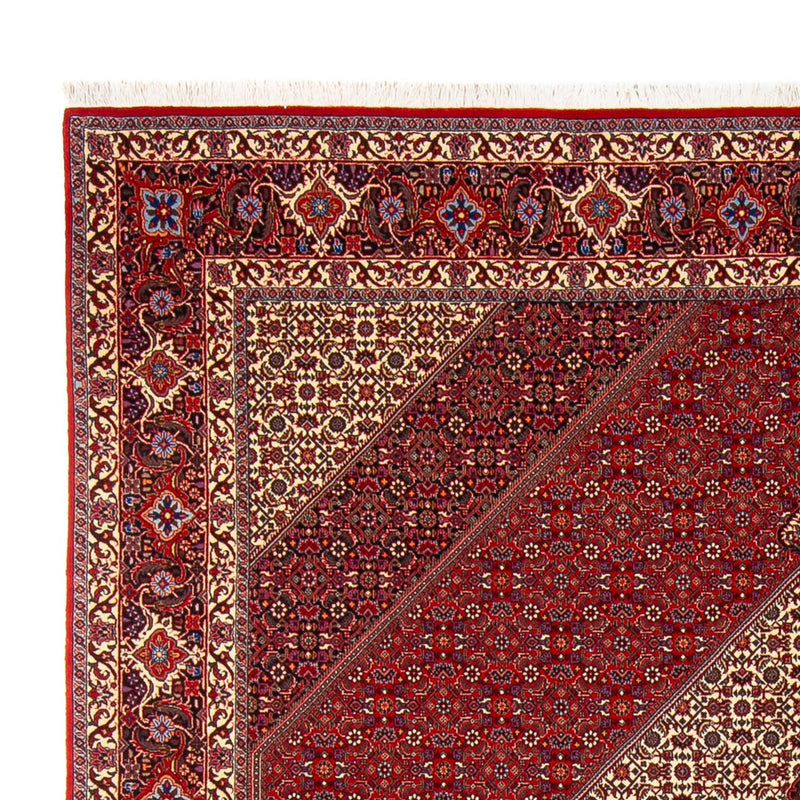 Tapete Persa - Bijar - Royal - 301 x 253 cm - creme