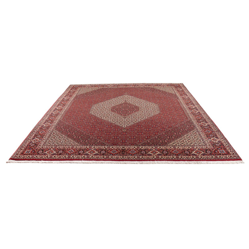 Tapete Persa - Bijar - Royal - 301 x 253 cm - creme
