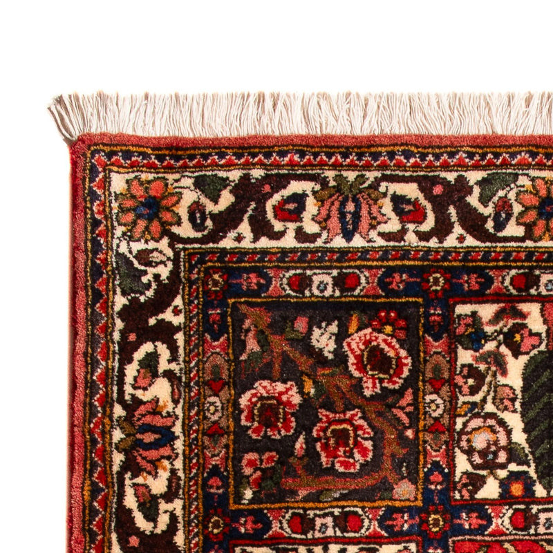 Tapete Persa - Nomadic - 100 x 62 cm - multicolorido