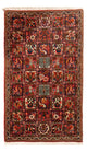 Bakhtiari Tapete 64x100cm - Tapete persa