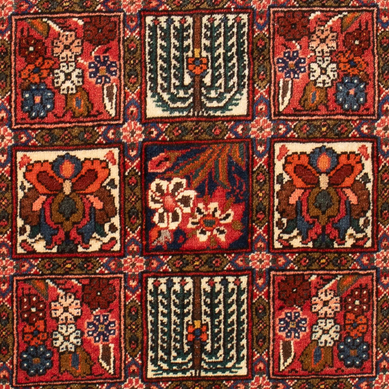 Bakhtiari Tapete 64x100cm - Tapete persa