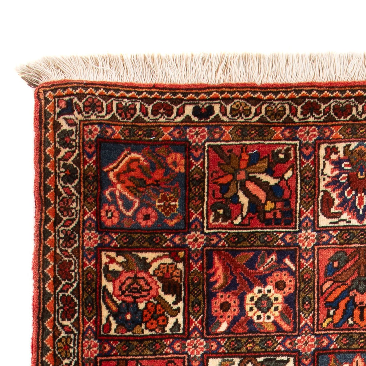 Bakhtiari Tapete 64x100cm - Tapete persa