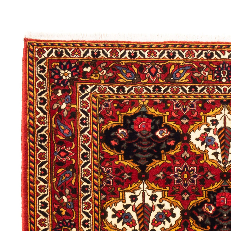 Bakhtiari Tapete 159x110cm - Tapete persa