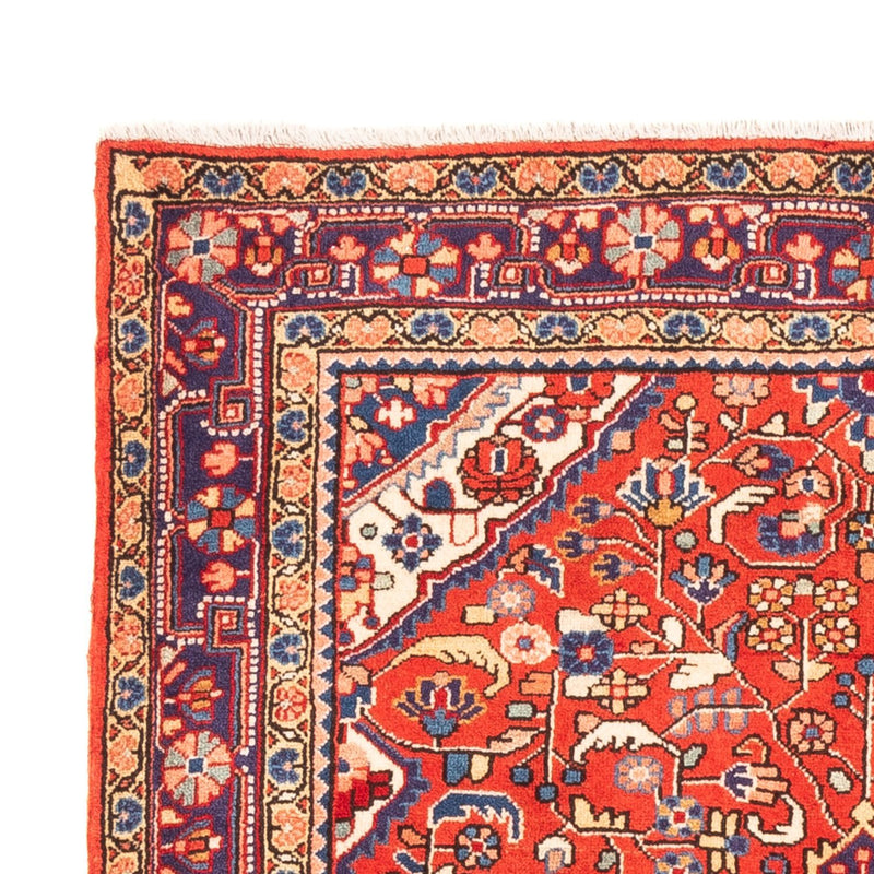 Jozan Tapete 160x108cm - Tapete persa