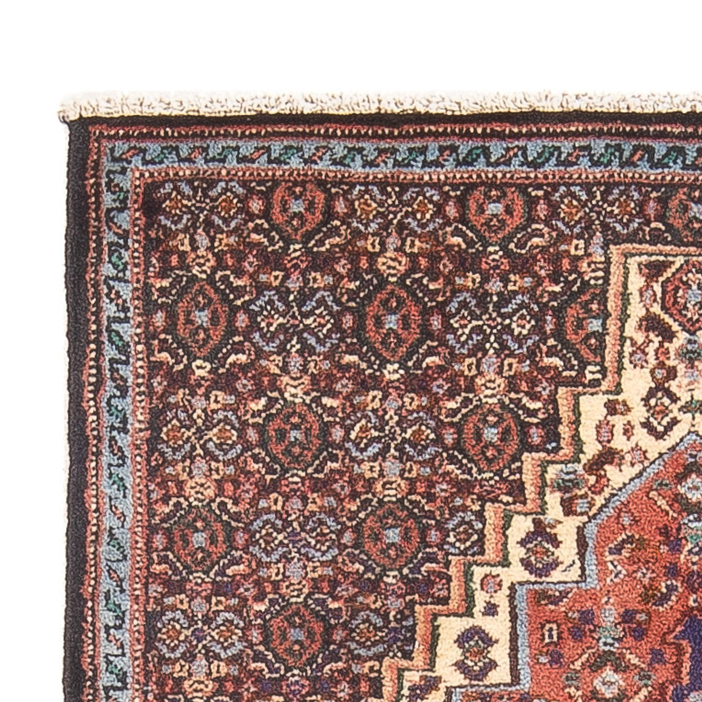 Senneh Tapete 100x73cm - Tapete persa