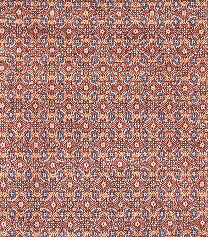 Moud Tapete 243x294cm - Tapete persa