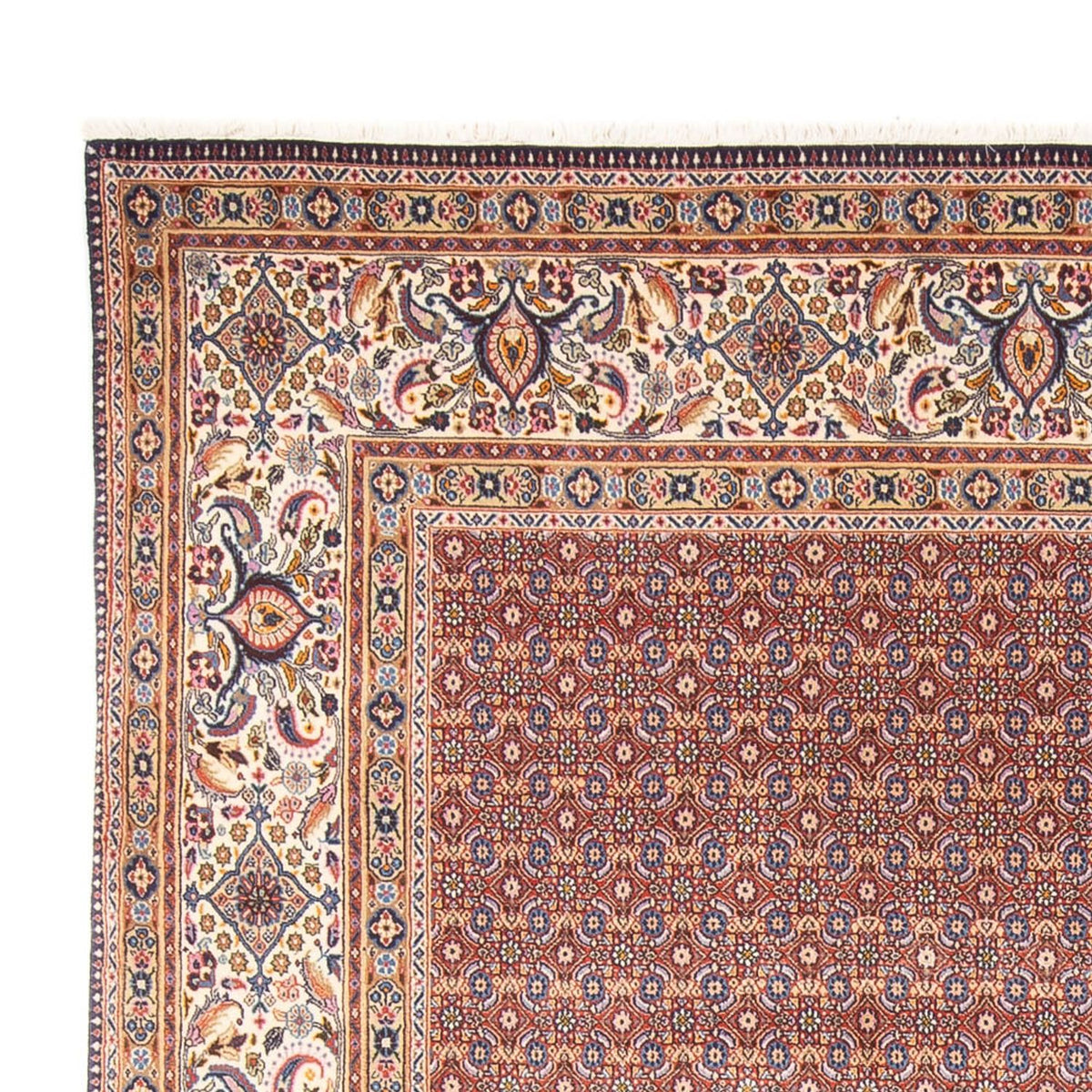 Moud Tapete 243x294cm - Tapete persa