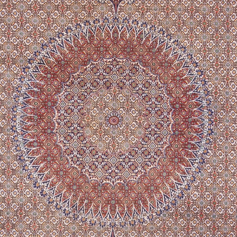 Moud Tapete 388x293cm - Tapete persa