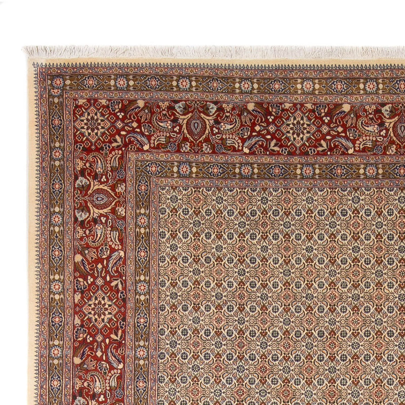 Moud Tapete 343x247cm - Tapete persa