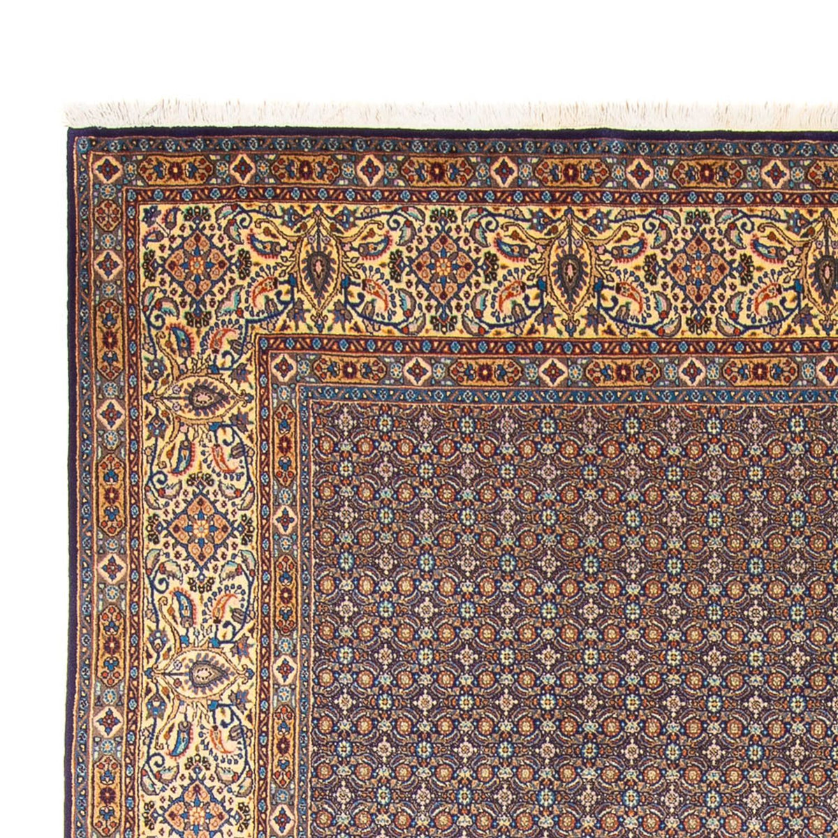 Moud Tapete 248x343cm - Tapete persa
