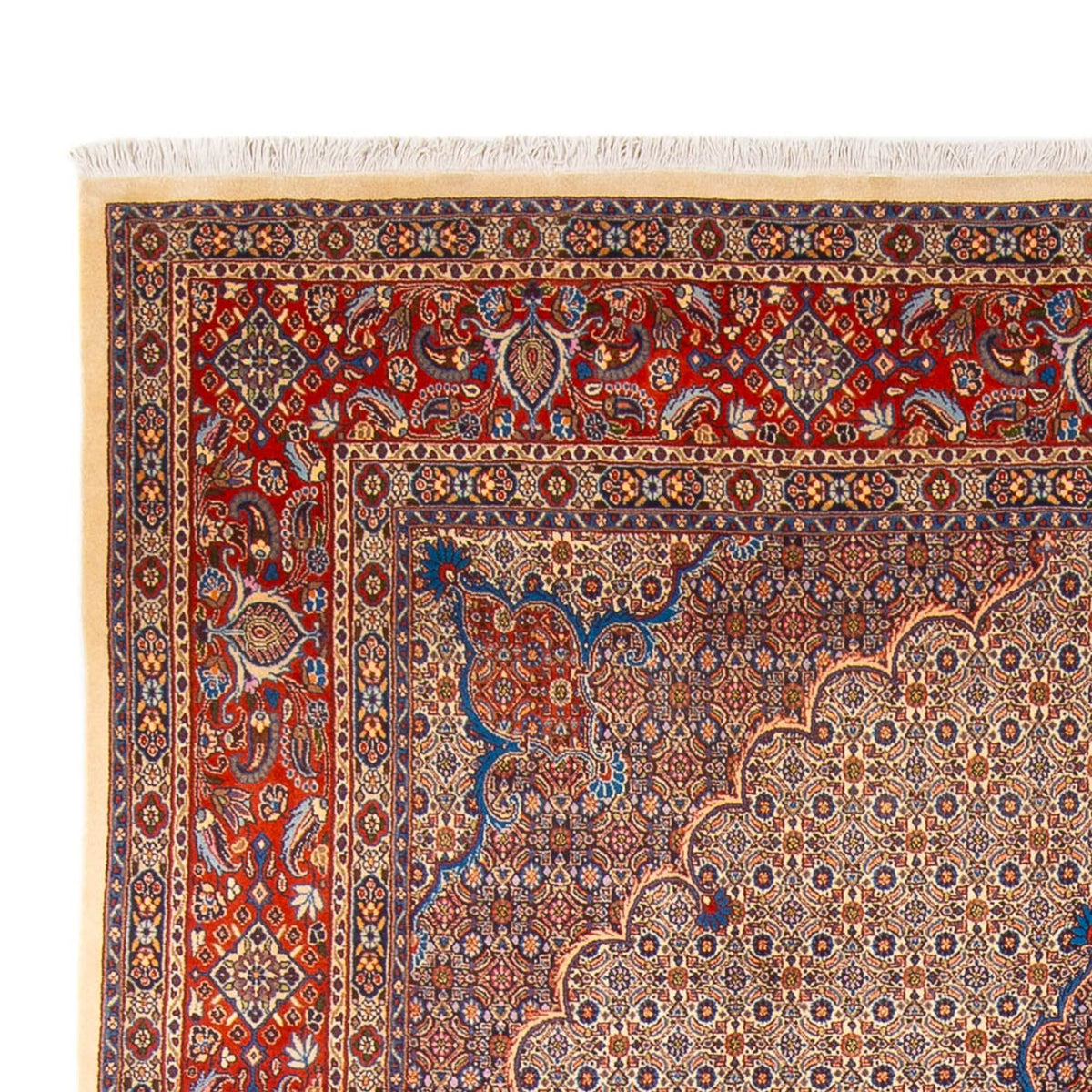 Moud Tapete 252x360cm - Tapete persa