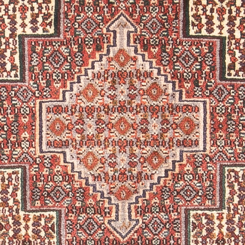 Senneh Tapete 70x98cm - Tapete persa