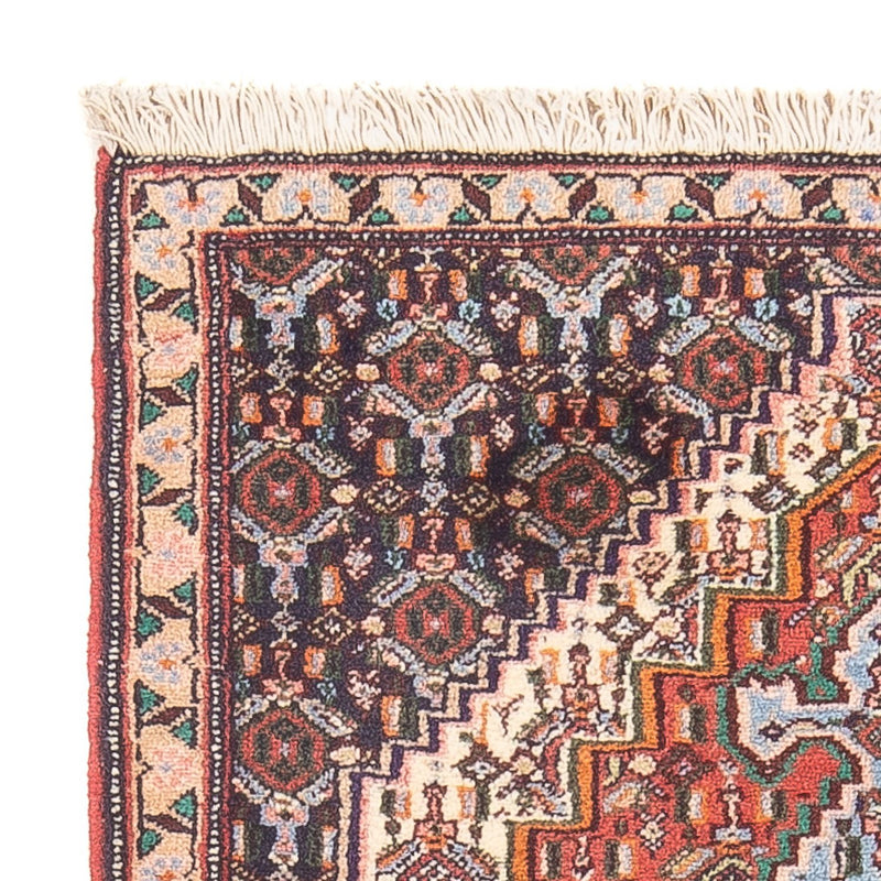Senneh Tapete 100x73cm - Tapete persa