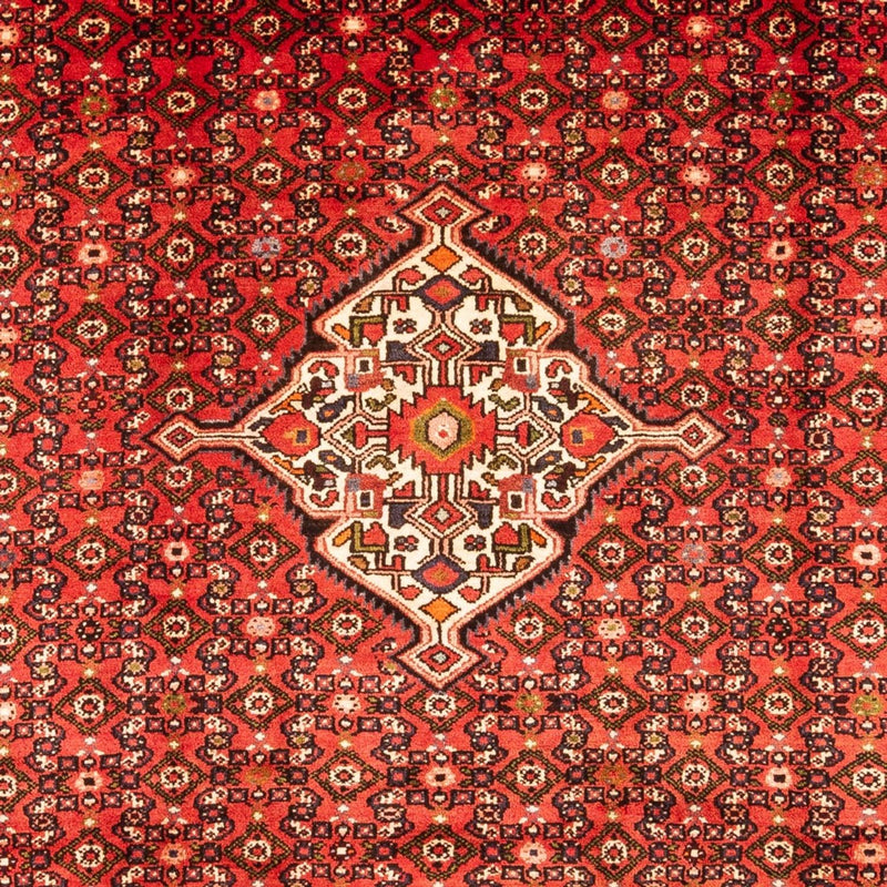 Kolyai Tapete 307x210cm - Tapete persa