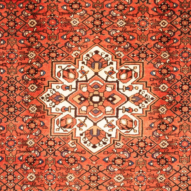 Kolyai Tapete 202x297cm - Tapete persa