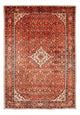 Kolyai Tapete 314x216cm - Tapete persa