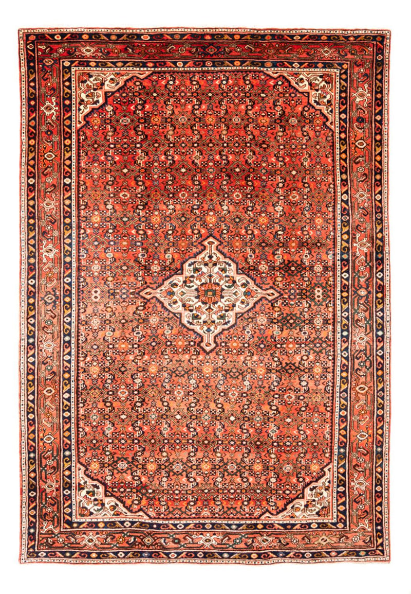 Kolyai Tapete 314x216cm - Tapete persa