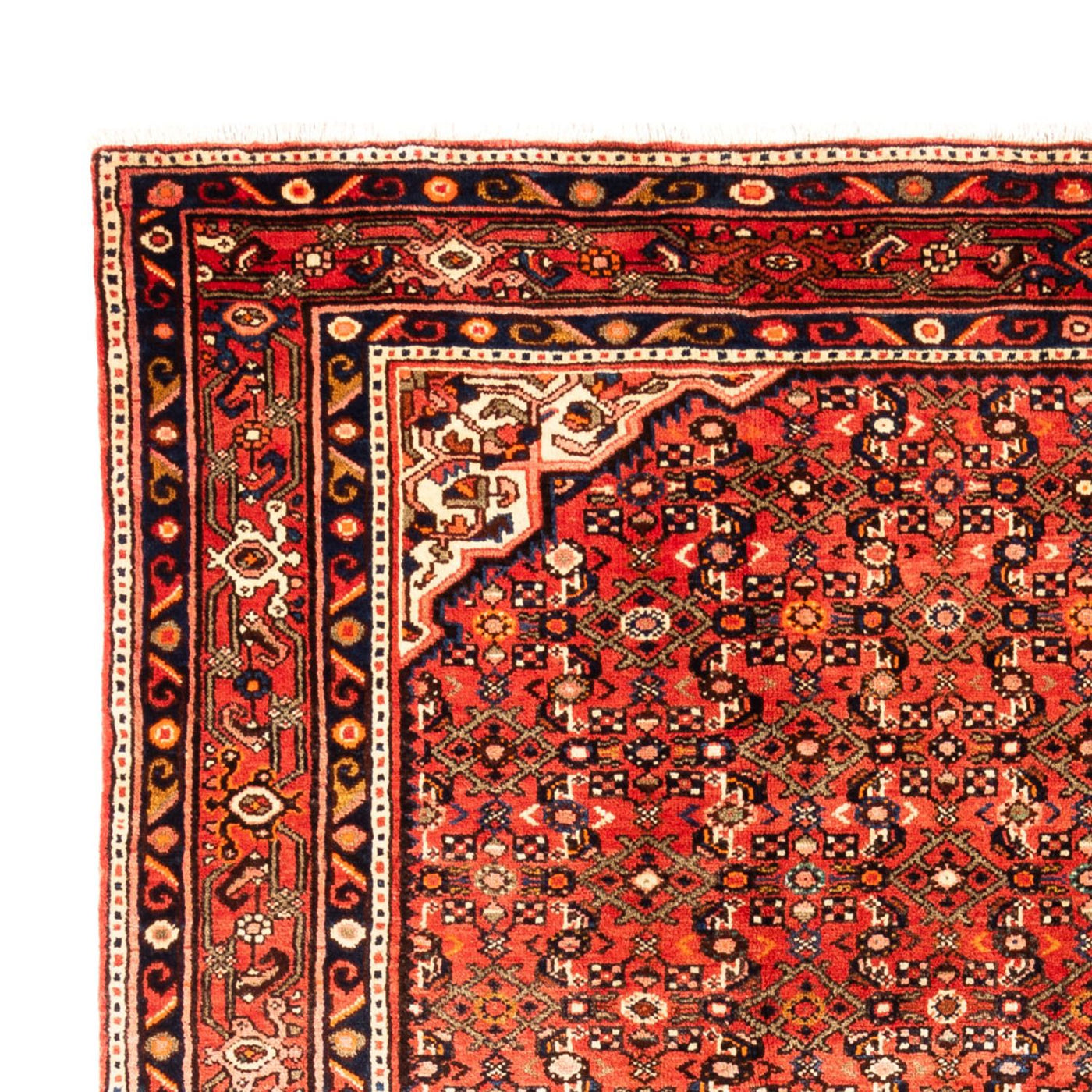 Kolyai Tapete 314x216cm - Tapete persa