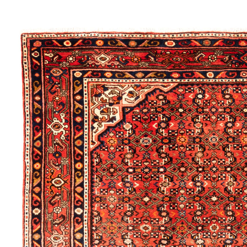 Kolyai Tapete 314x216cm - Tapete persa