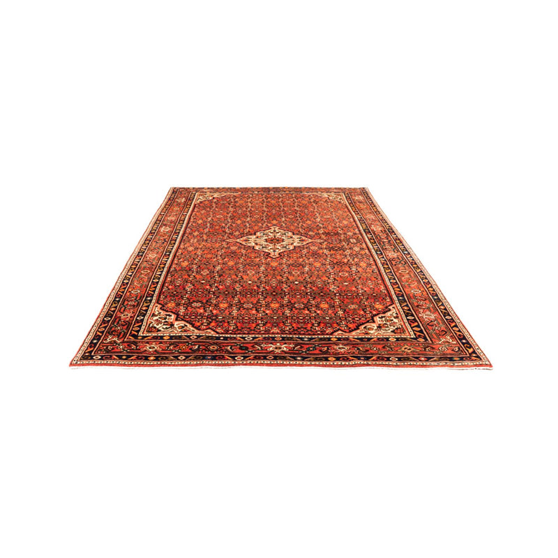 Kolyai Tapete 314x216cm - Tapete persa