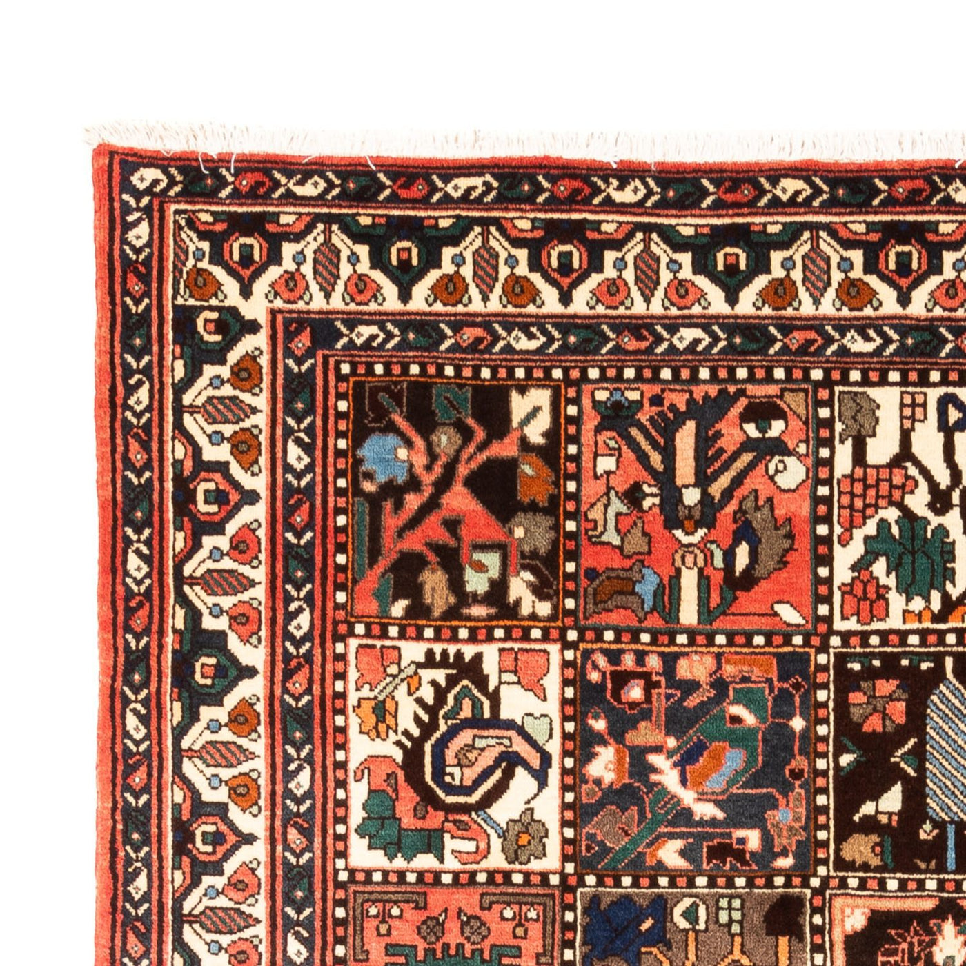 Bakhtiari Tapete 300x205cm - Tapete persa