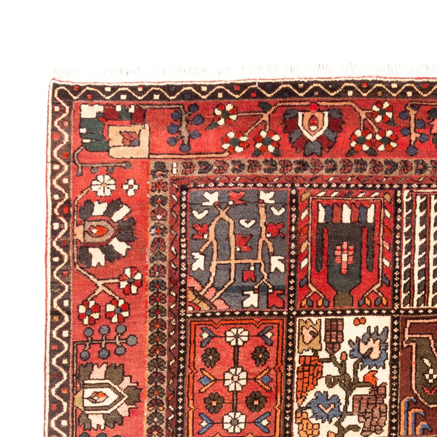 Bakhtiari Tapete 314x207cm - Tapete persa