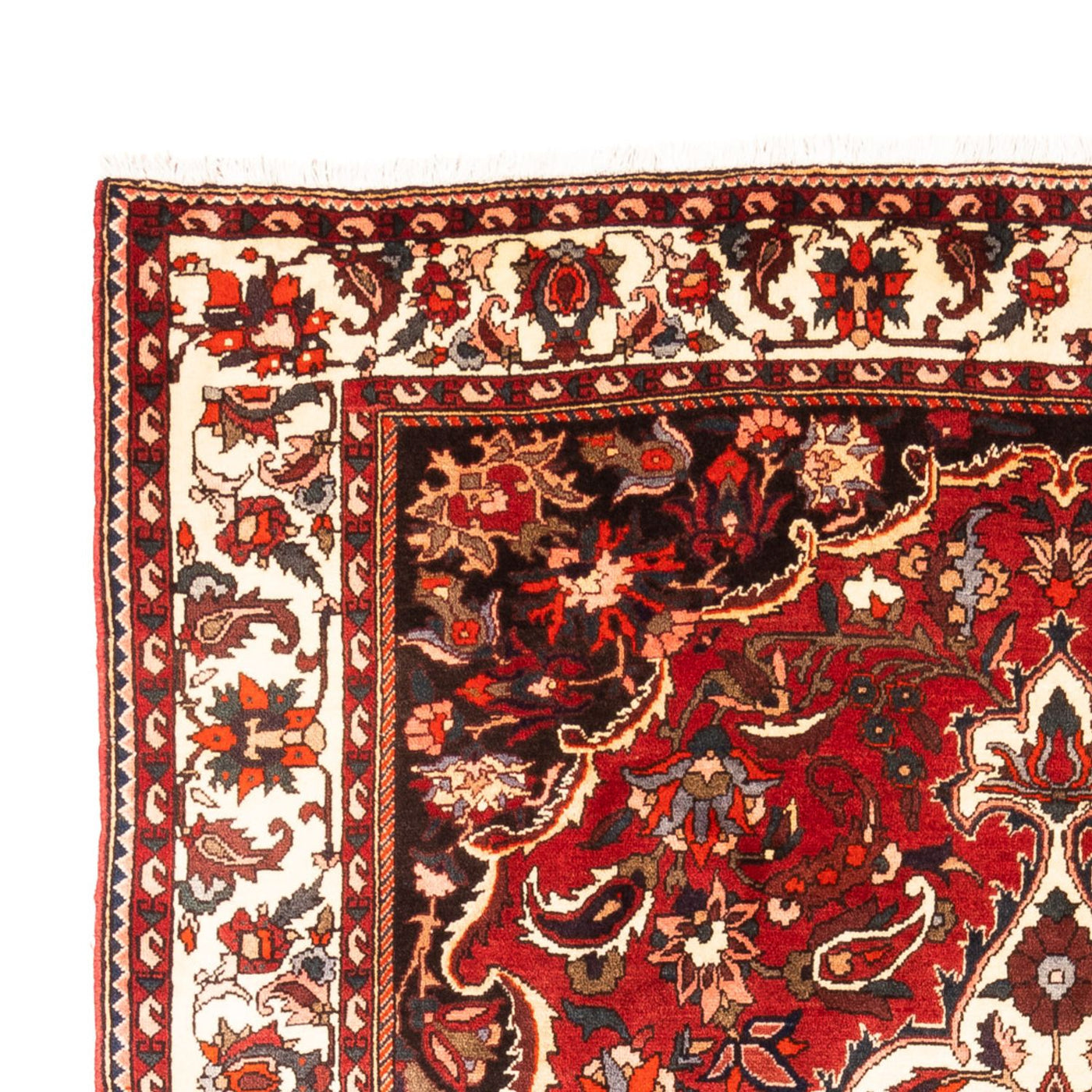 Bakhtiari Tapete 305x210cm - Tapete persa
