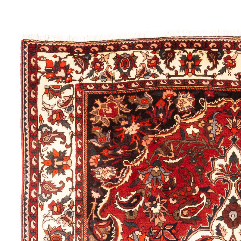 Bakhtiari Tapete 305x210cm - Tapete persa