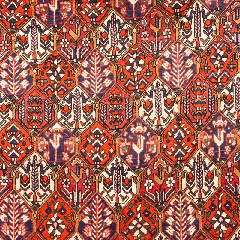 Bakhtiari Tapete 310x210cm - Tapete persa