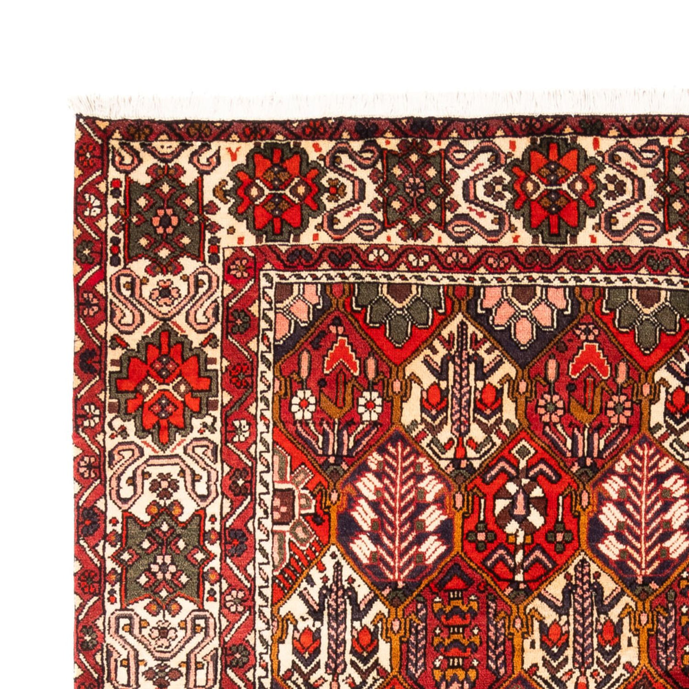 Bakhtiari Tapete 310x210cm - Tapete persa