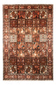 Bakhtiari Tapete 307x206cm - Tapete persa