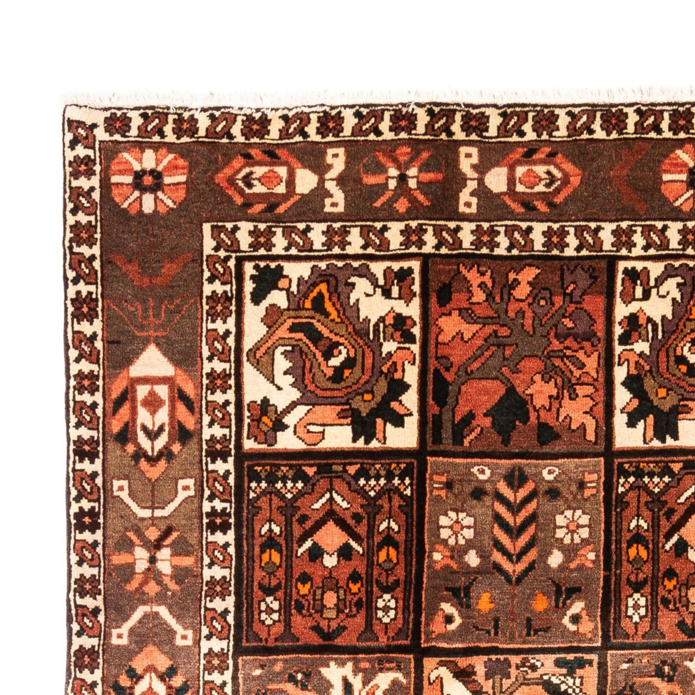 Bakhtiari Tapete 307x206cm - Tapete persa