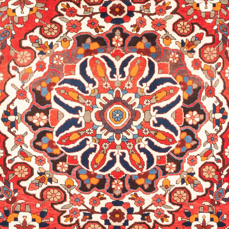 Tapete Persa - Nomadic - 305 x 206 cm - vermelho