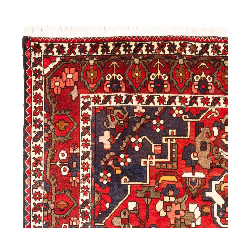 Bakhtiari Tapete 305x210cm - Tapete persa